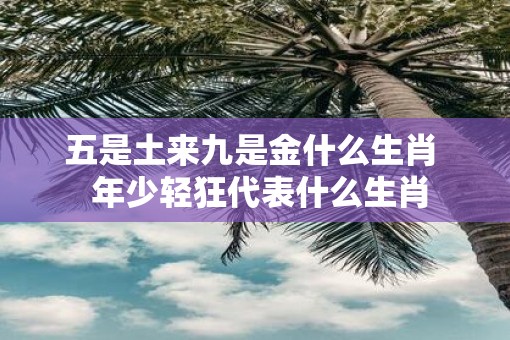 五是土来九是金什么生肖  年少轻狂代表什么生肖