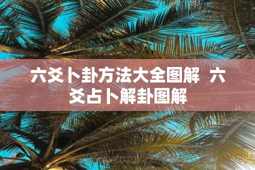 六爻卜卦方法大全图解  六爻占卜解卦图解