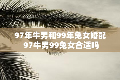 97年牛男和99年兔女婚配 97牛男99兔女合适吗