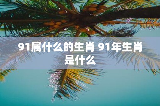 91属什么的生肖 91年生肖是什么