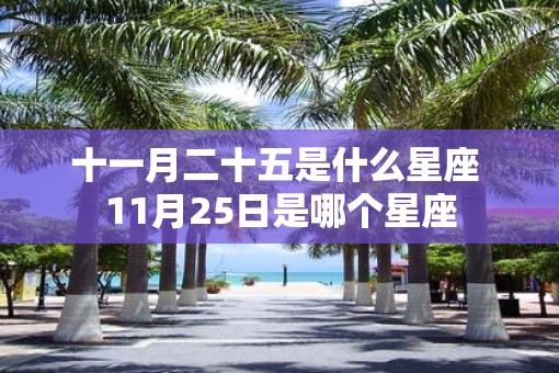 十一月二十五是什么星座 11月25日是哪个星座