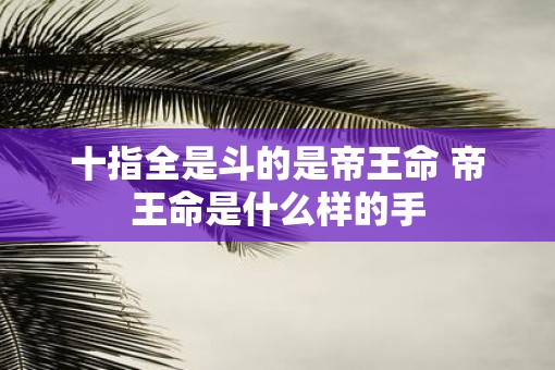 十指全是斗的是帝王命 帝王命是什么样的手