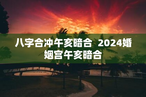 八字合冲午亥暗合  2025婚姻宫午亥暗合