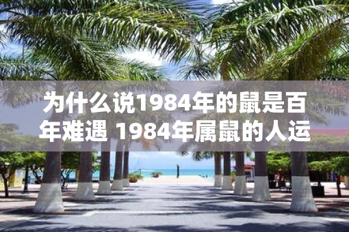 为什么说1984年的鼠是百年难遇 1984年属鼠的人运气怎么样