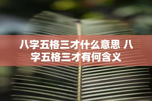 八字五格三才什么意思 八字五格三才有何含义