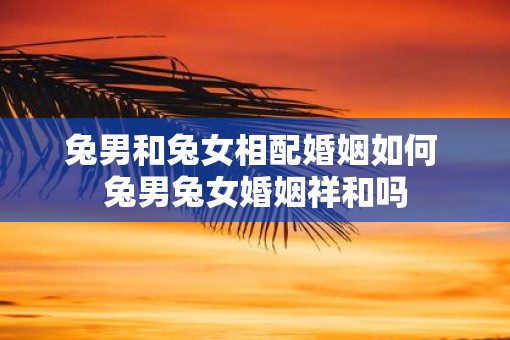 兔男和兔女相配婚姻如何 兔男兔女婚姻祥和吗