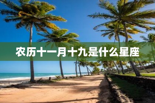 农历十一月十九是什么星座