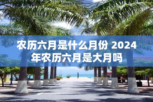 农历六月是什么月份 2025年农历六月是大月吗