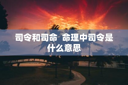 司令和司命  命理中司令是什么意思