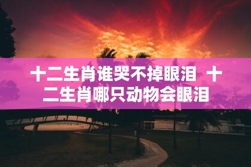 十二生肖谁哭不掉眼泪  十二生肖哪只动物会眼泪