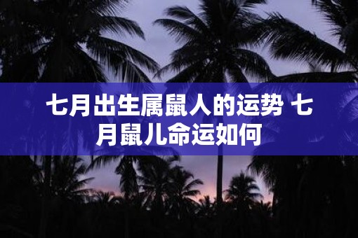 七月出生属鼠人的运势 七月鼠儿命运如何