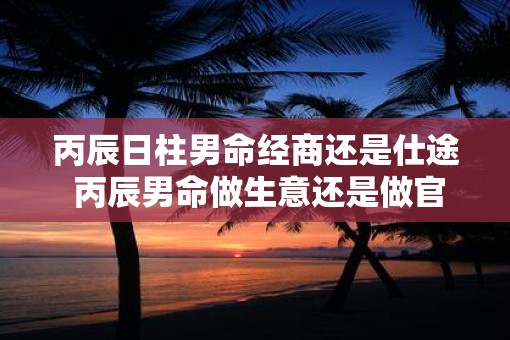 丙辰日柱男命经商还是仕途 丙辰男命做生意还是做官