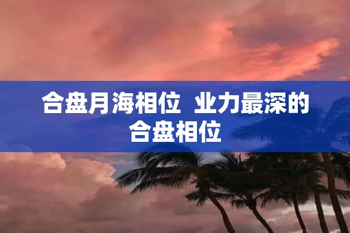 合盘月海相位  业力最深的合盘相位