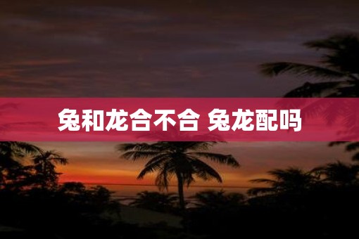 兔和龙合不合 兔龙配吗