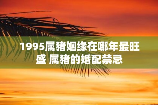 1995属猪姻缘在哪年最旺盛 属猪的婚配禁忌
