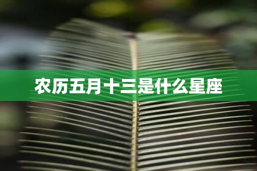农历五月十三是什么星座