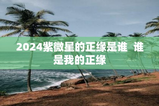 2025紫微星的正缘是谁  谁是我的正缘