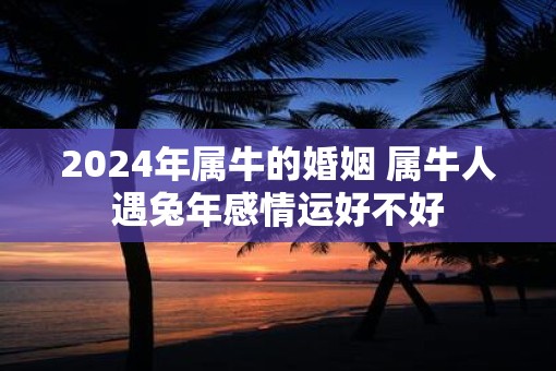 2025年属牛的婚姻 属牛人遇蛇年感情运好不好