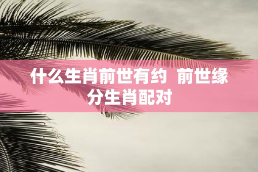 什么生肖前世有约  前世缘分生肖配对