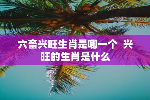 六畜兴旺生肖是哪一个  兴旺的生肖是什么