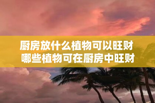 厨房放什么植物可以旺财 哪些植物可在厨房中旺财