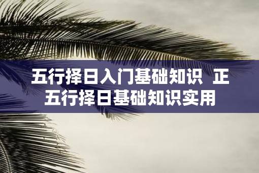 五行择日入门基础知识  正五行择日基础知识实用