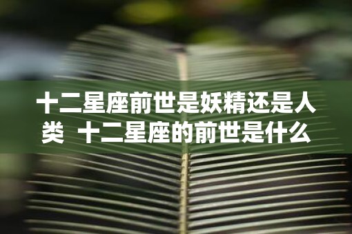 十二星座前世是妖精还是人类  十二星座的前世是什么样的仙子