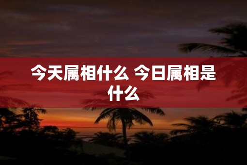 今天属相什么 今日属相是什么