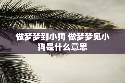 做梦梦到小狗 做梦梦见小狗是什么意思