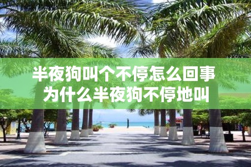 半夜狗叫个不停怎么回事 为什么半夜狗不停地叫