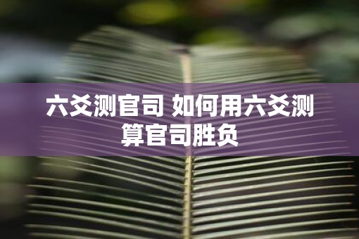 六爻测官司 如何用六爻测算官司胜负