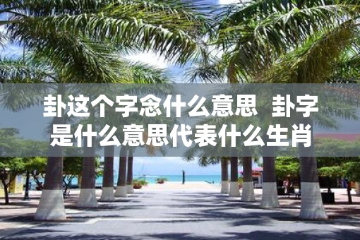 卦这个字念什么意思  卦字是什么意思代表什么生肖