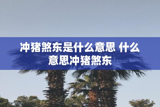 冲猪煞东是什么意思 什么意思冲猪煞东