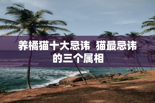 养橘猫十大忌讳  猫最忌讳的三个属相
