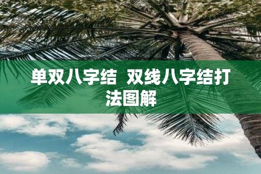 单双八字结  双线八字结打法图解