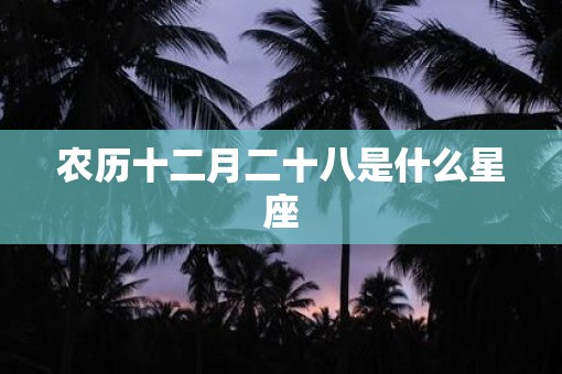 农历十二月二十八是什么星座