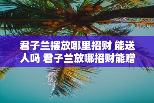君子兰摆放哪里招财 能送人吗 君子兰放哪招财能赠送吗