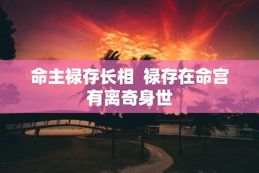 命主禄存长相  禄存在命宫有离奇身世