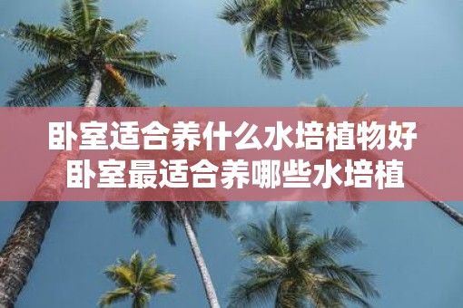 卧室适合养什么水培植物好 卧室最适合养哪些水培植物