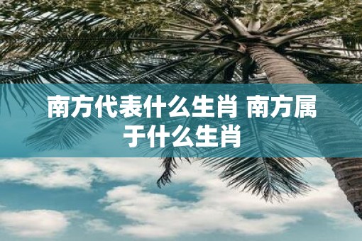 南方代表什么生肖 南方属于什么生肖