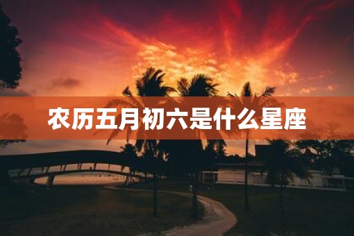 农历五月初六是什么星座
