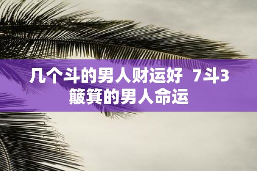几个斗的男人财运好  7斗3簸箕的男人命运