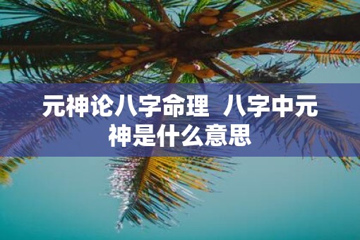 元神论八字命理  八字中元神是什么意思