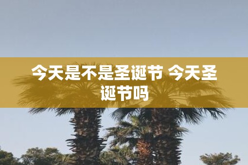 今天是不是圣诞节 今天圣诞节吗 今天是不是圣诞节 今天圣诞节吗
