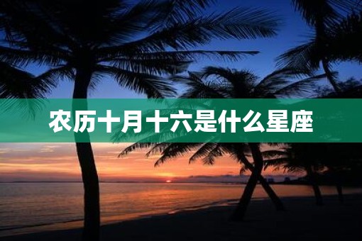 农历十月十六是什么星座