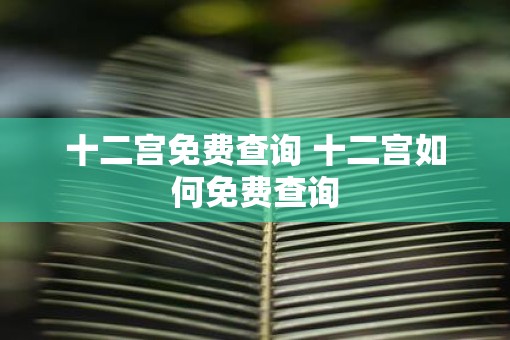 十二宫免费查询 十二宫如何免费查询