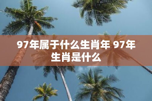 97年属于什么生肖年 97年生肖是什么