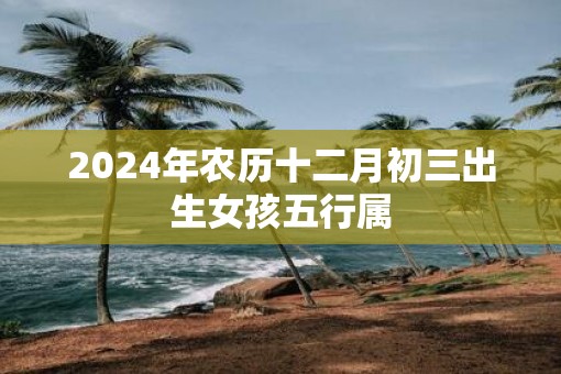 2025年农历十二月初三出生女孩五行属