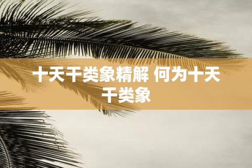 十天干类象精解 何为十天干类象