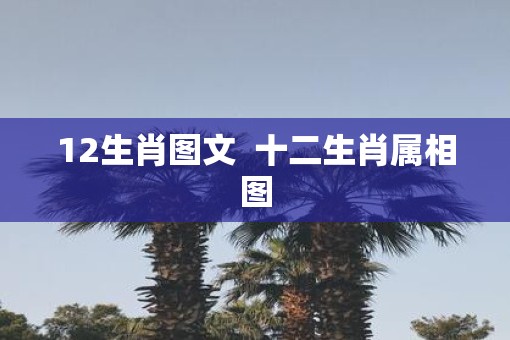 12生肖图文  十二生肖属相图
